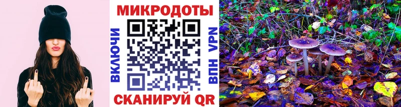 Галлюциногенные грибы прущие грибы где купить наркотик гидра маркетплейс Копейск